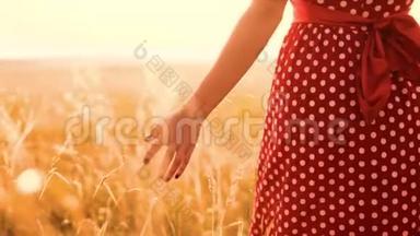 美丽的年轻女孩与野花在田野上散步，在户外享受大自然的慢动作<strong>视频</strong>。 在<strong>战场</strong>上的女孩